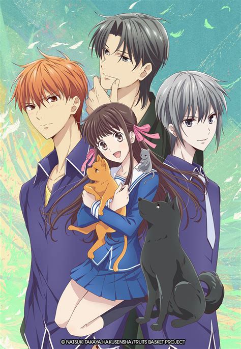 Fruits Basket .